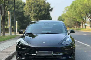 Model 3 特斯拉 后轮驱动版