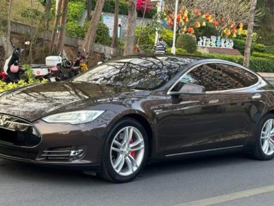 2014年12月 特斯拉 Model S Model S P85圖片