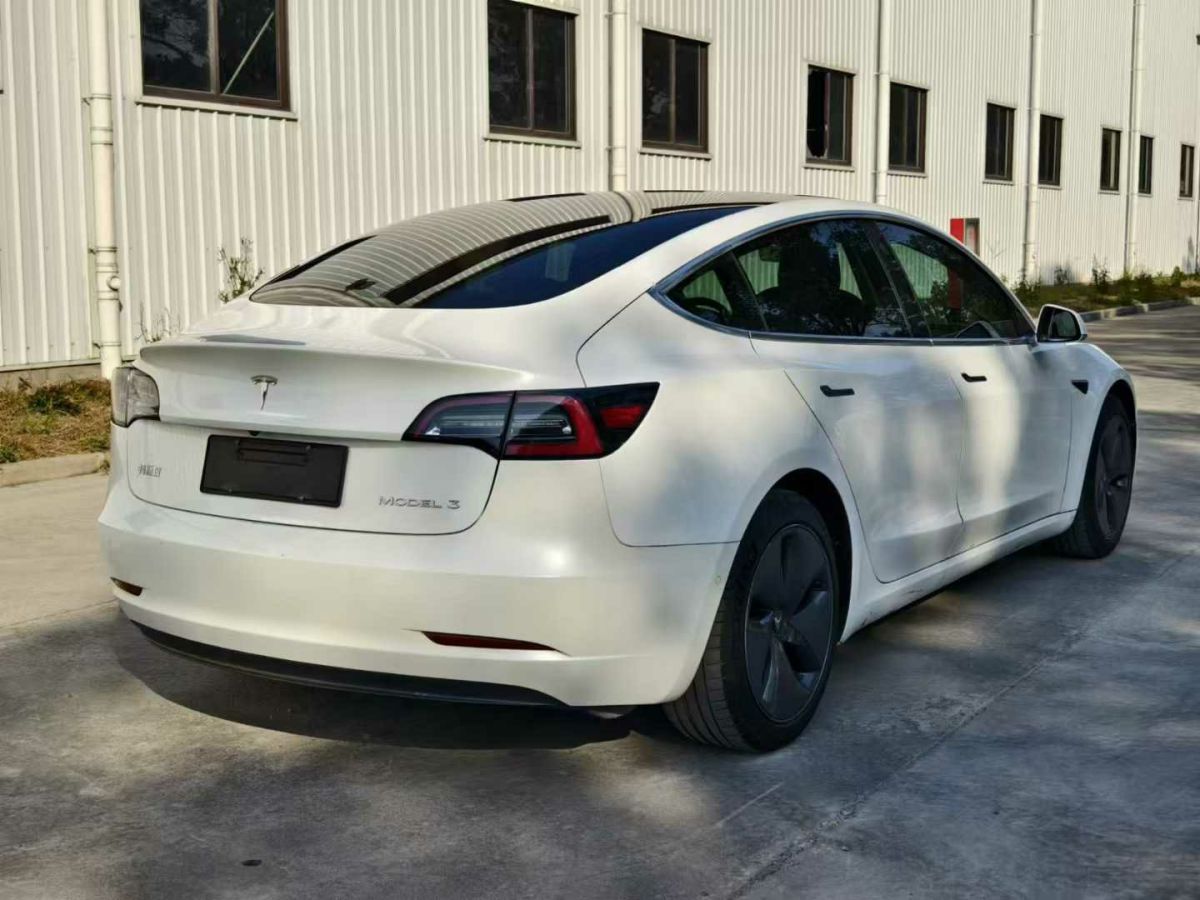 特斯拉 Model X  2020款 Performance 高性能版圖片