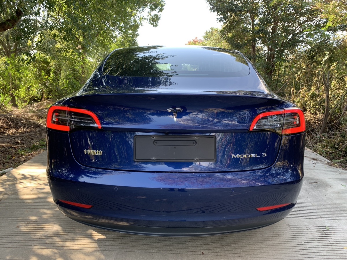 特斯拉 Model 3  2019款 標準續(xù)航后驅(qū)升級版圖片