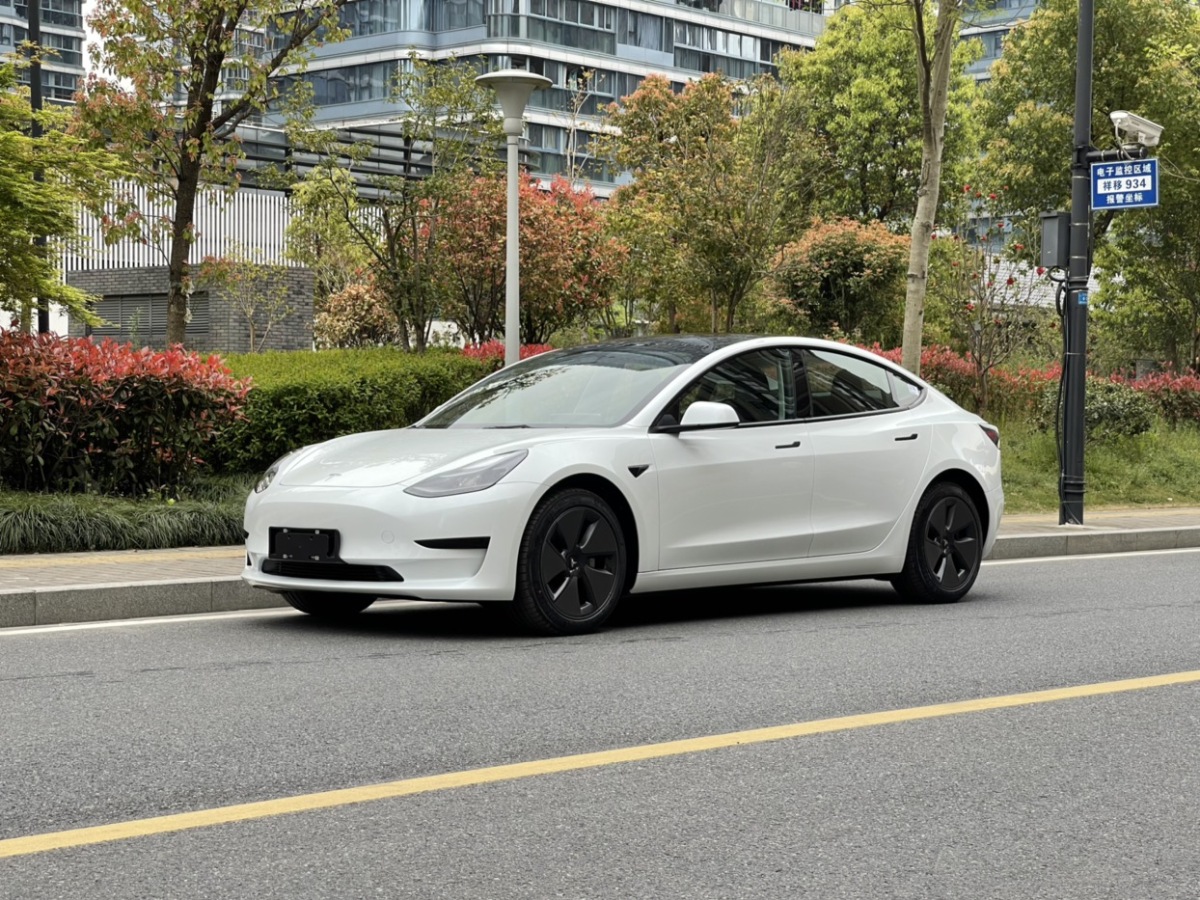 杭州2022年03月特斯拉modely2020款長續航後輪驅動版白色自動檔