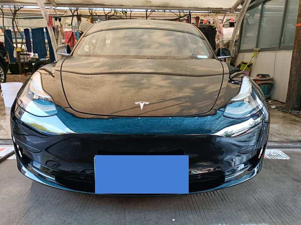 2021年2月特斯拉 Model Y  2021款 改款 標(biāo)準(zhǔn)續(xù)航后驅(qū)升級(jí)版