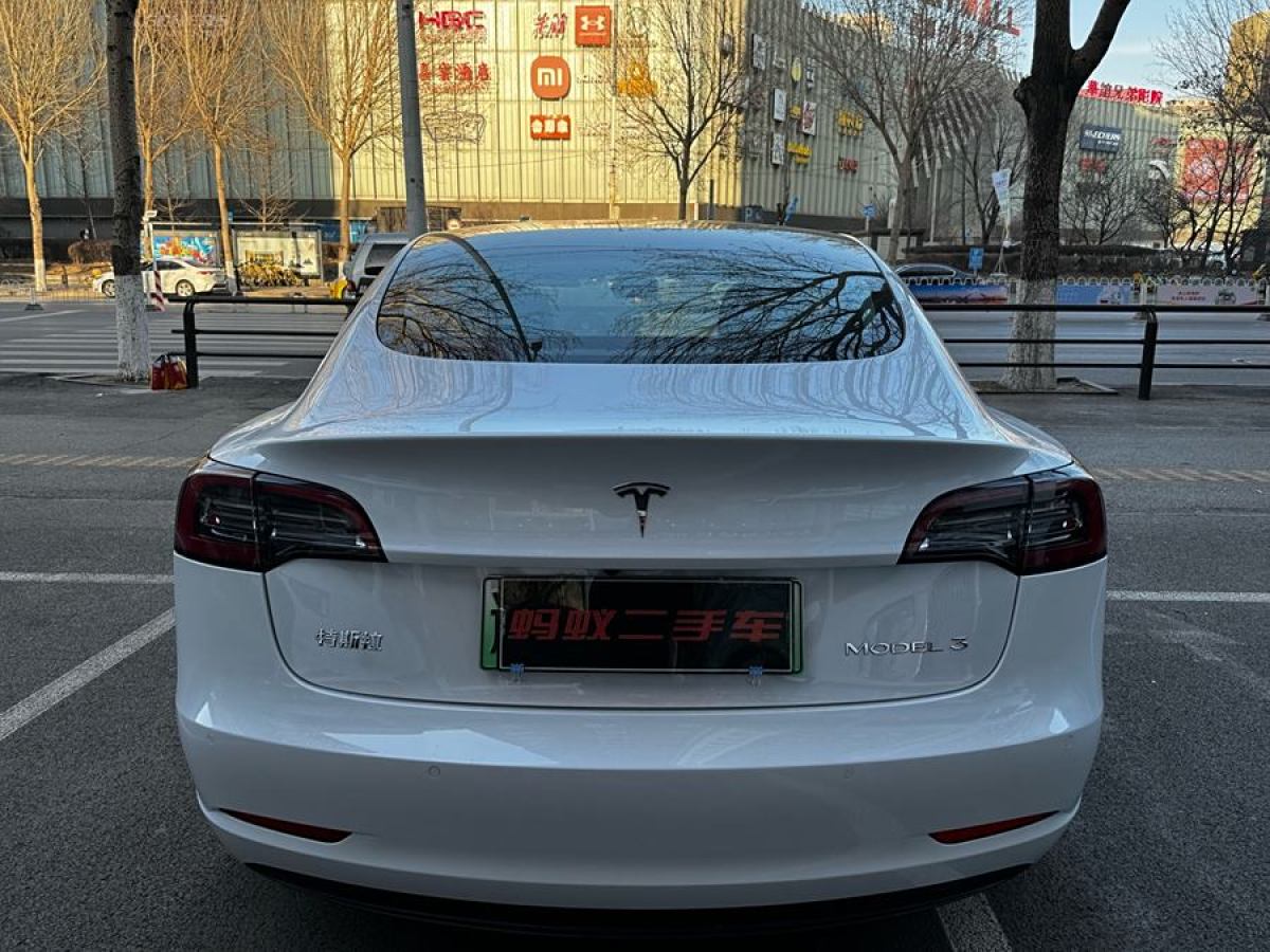 特斯拉 Model 3  2021款 改款 標準續(xù)航后驅(qū)升級版圖片