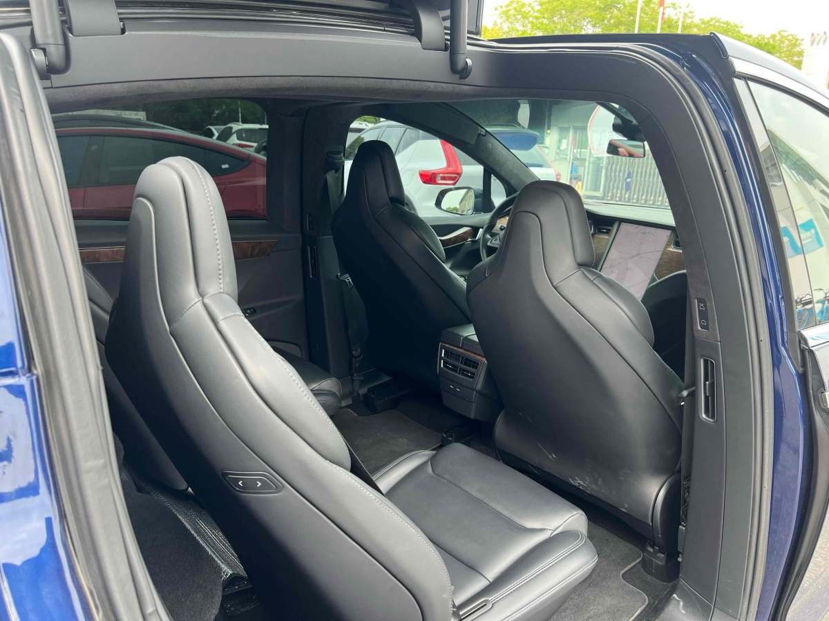特斯拉 Model X  2017款 Model X 100D 長(zhǎng)續(xù)航版圖片