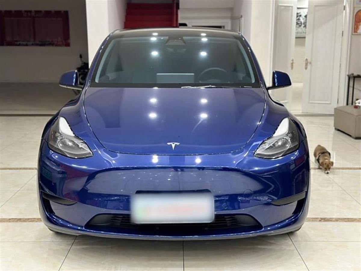 特斯拉 Model Y  2022款 后輪驅(qū)動(dòng)版圖片