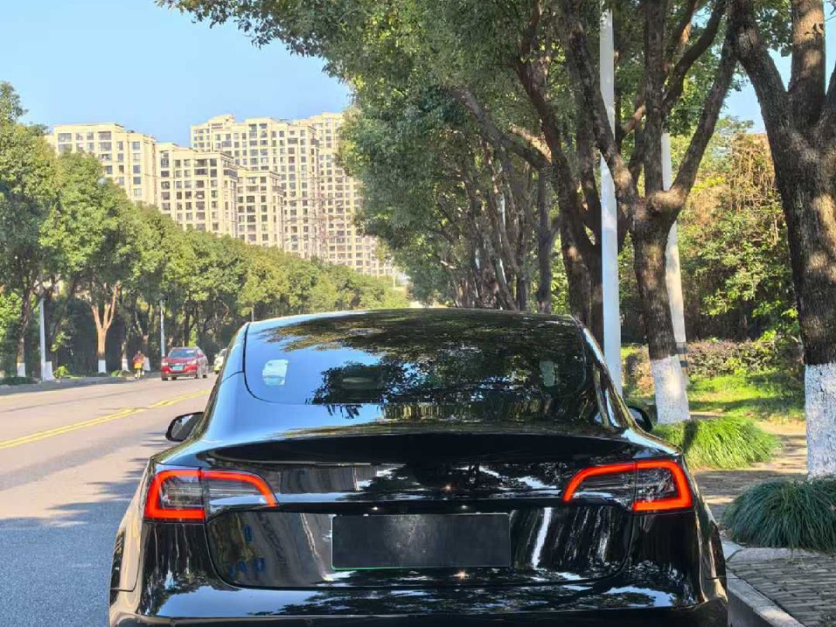 特斯拉 Model S  2023款 三電機(jī)全輪驅(qū)動(dòng) Plaid版圖片