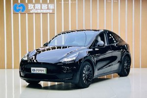 Model 3 特斯拉 改款 長續(xù)航后輪驅(qū)動版