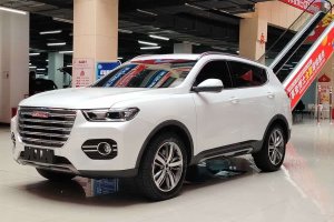 H6 哈弗 換代 紅標(biāo) 2.0T 自動(dòng)兩驅(qū)智尚型