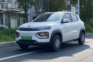 納米BOX 東風(fēng)新能源 輕風(fēng)版 201KM 閃電型
