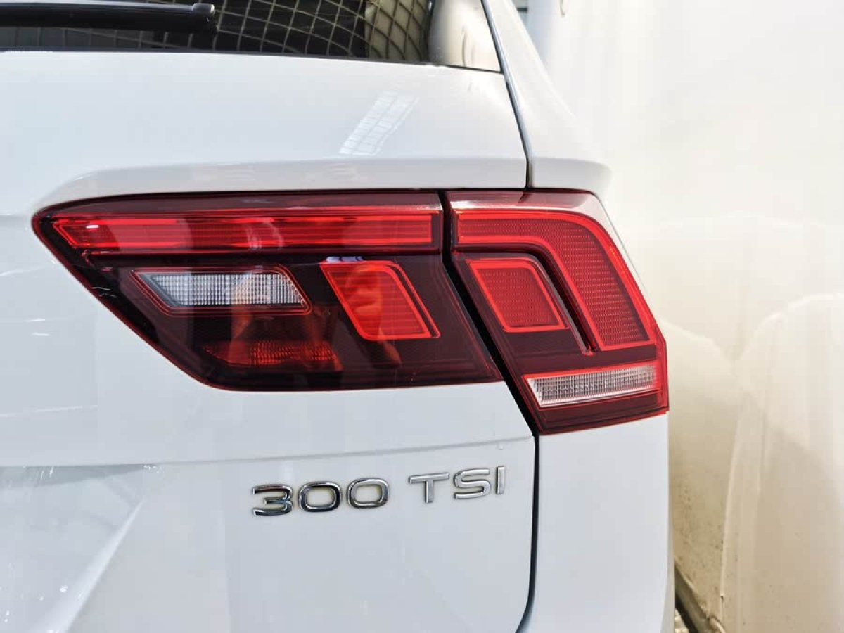 大眾 途觀L  2023款 300TSI 智享版圖片