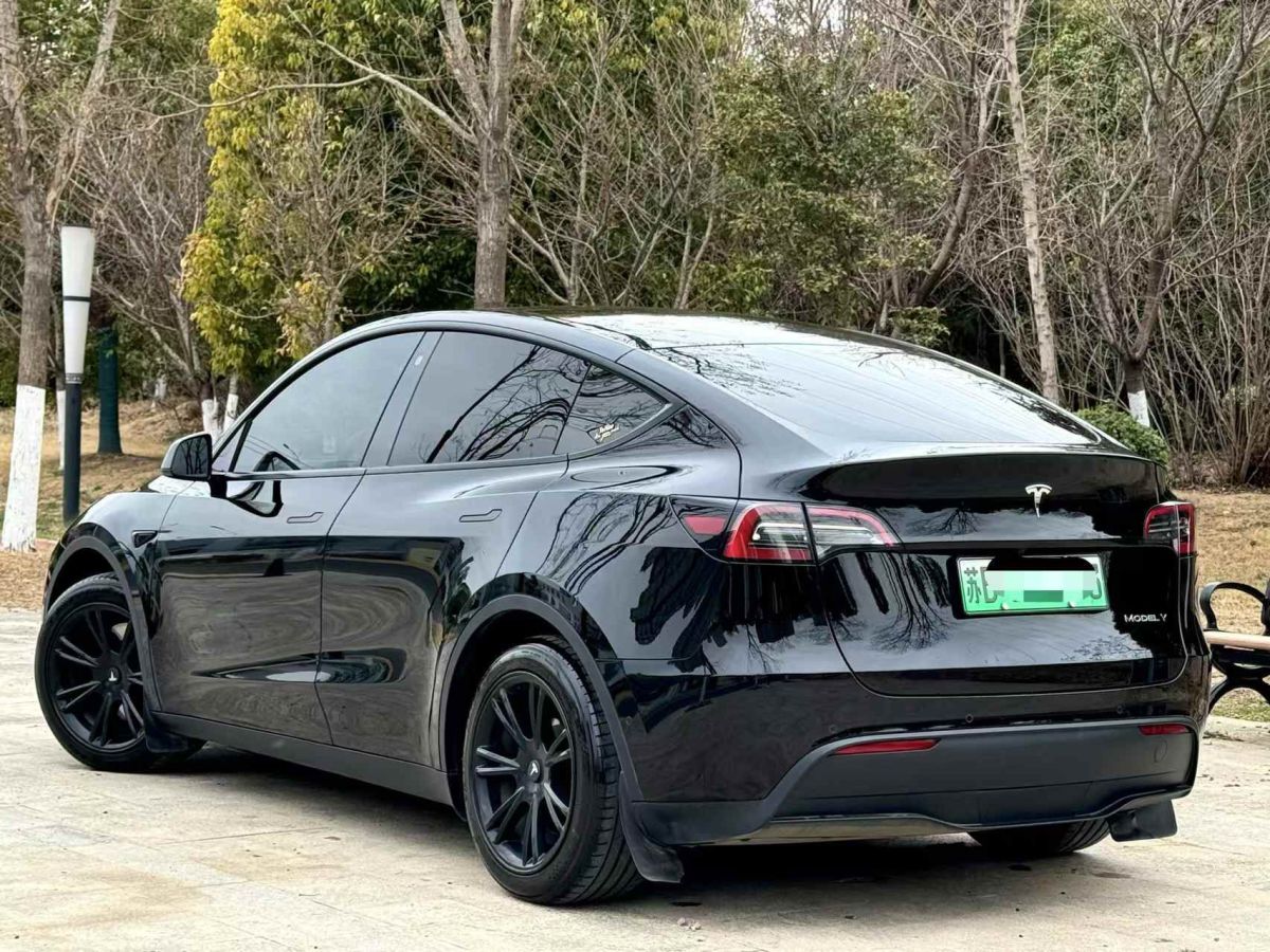 特斯拉 Model S  2023款 三電機(jī)全輪驅(qū)動(dòng) Plaid版圖片