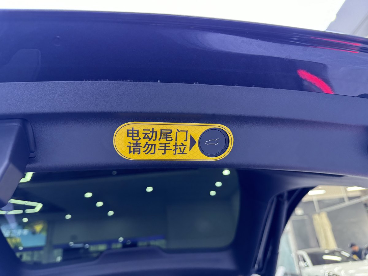 特斯拉 Model Y  2020款 改款 長續(xù)航后輪驅(qū)動版圖片