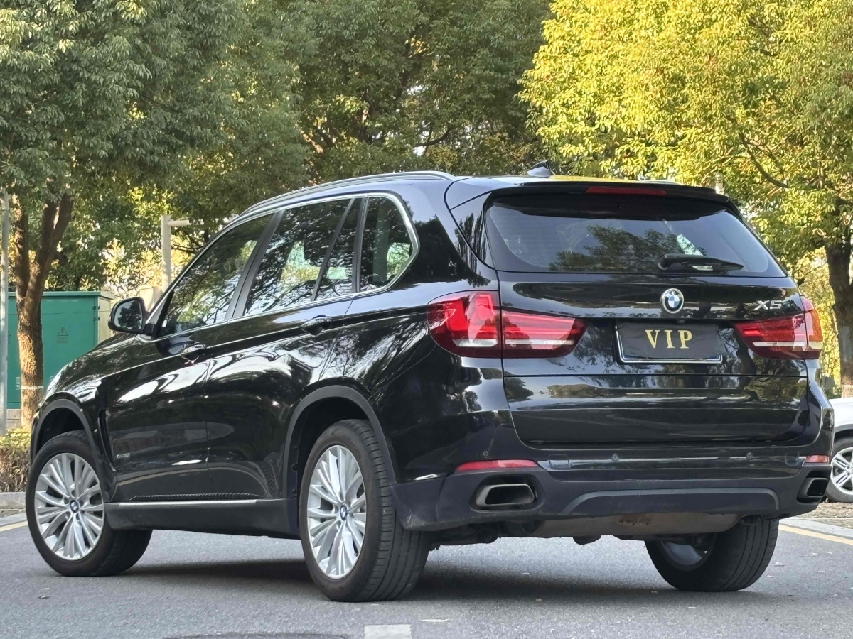 寶馬 寶馬X5  2014款 xDrive35i 領(lǐng)先型圖片