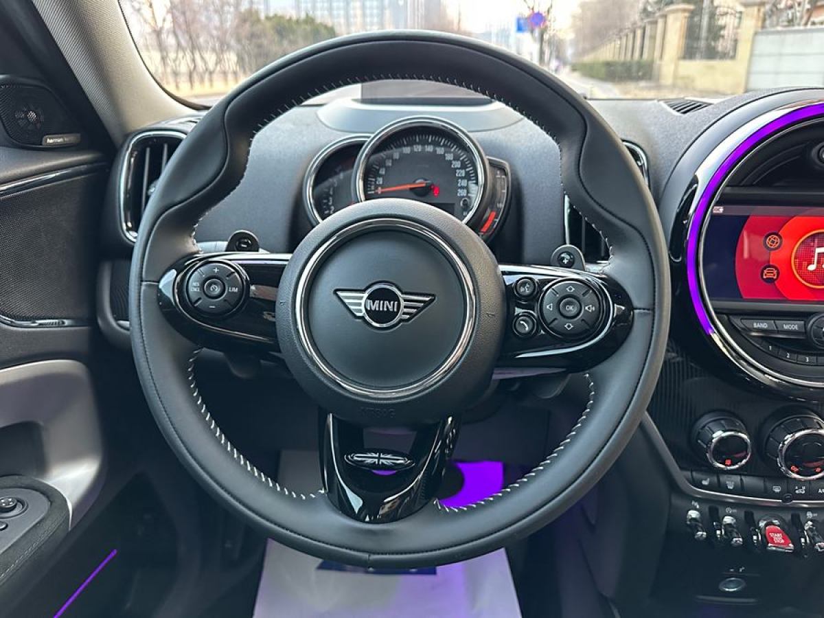 MINI COUNTRYMAN  2020款 2.0T COOPER S ALL4圖片