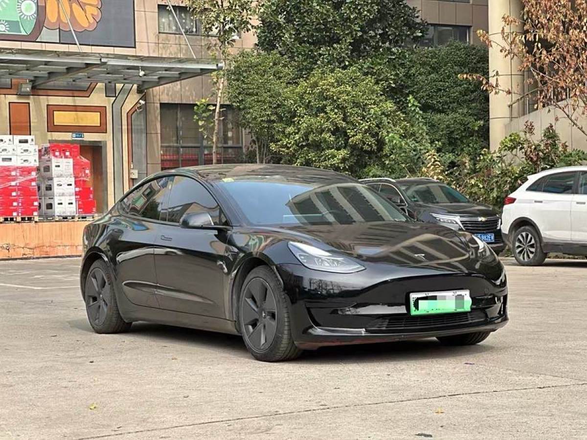 2021年3月特斯拉 Model 3  2021款 改款 標(biāo)準(zhǔn)續(xù)航后驅(qū)升級(jí)版