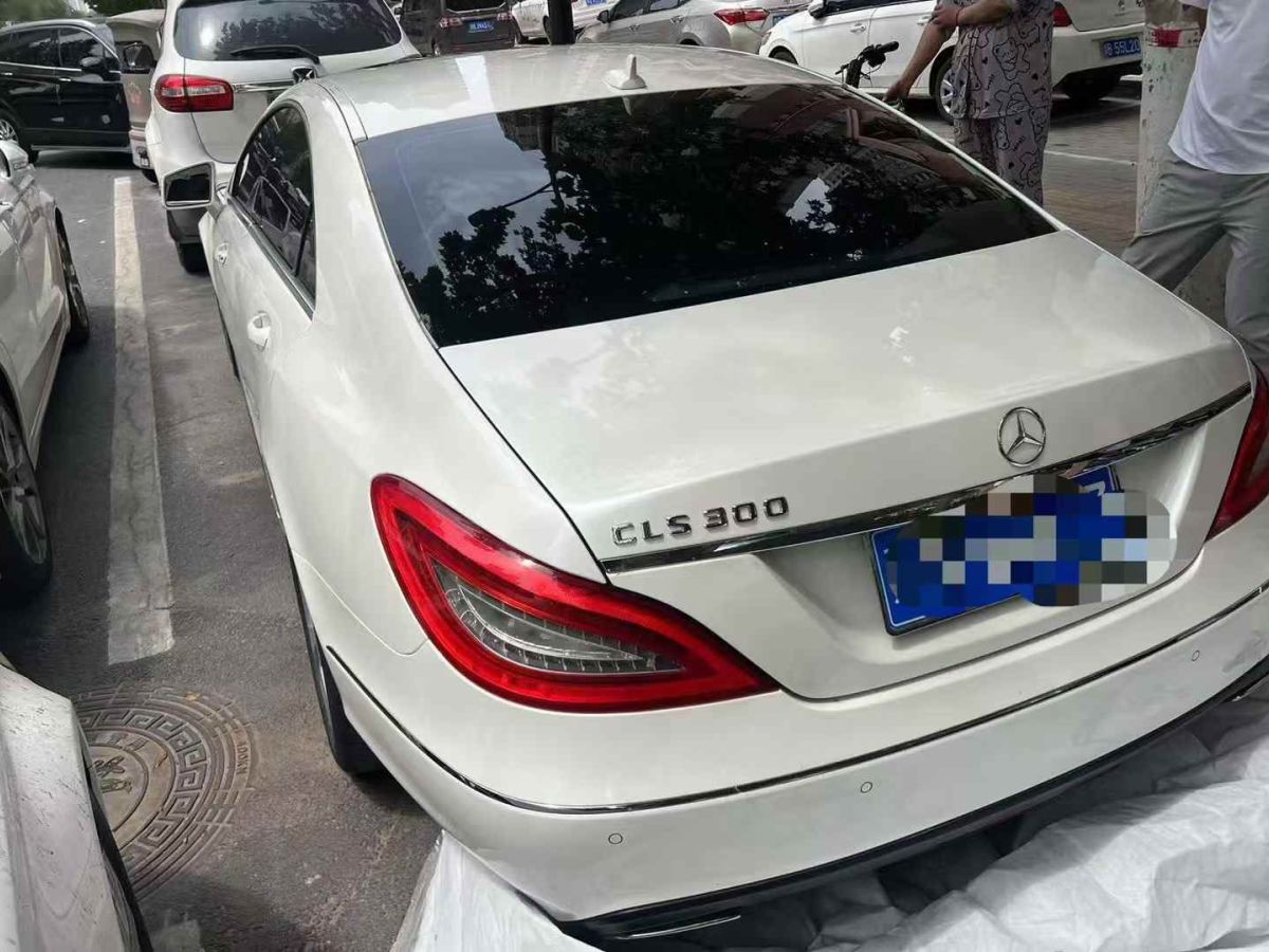 奔馳 奔馳CLS級(jí)  2012款 CLS 300 CGI圖片