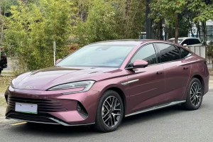 海豹 比亞迪 DM-i 1.5L 121km 尊貴型