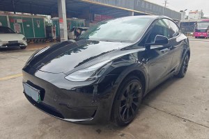 Model Y 特斯拉 改款 后輪驅(qū)動版