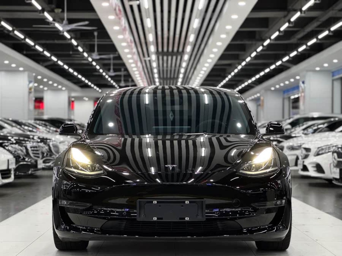 特斯拉 Model 3  2021款 改款 Performance高性能全輪驅(qū)動版圖片
