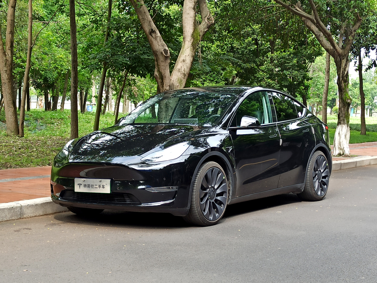 特斯拉 model y 2021款 performance高性能全輪驅動版圖片