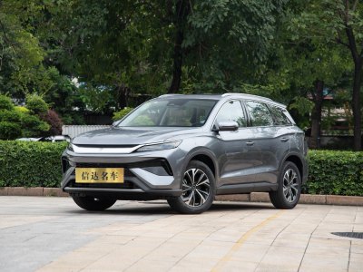 2024年11月 比亞迪 宋Pro新能源 DM-i 115KM超越型圖片