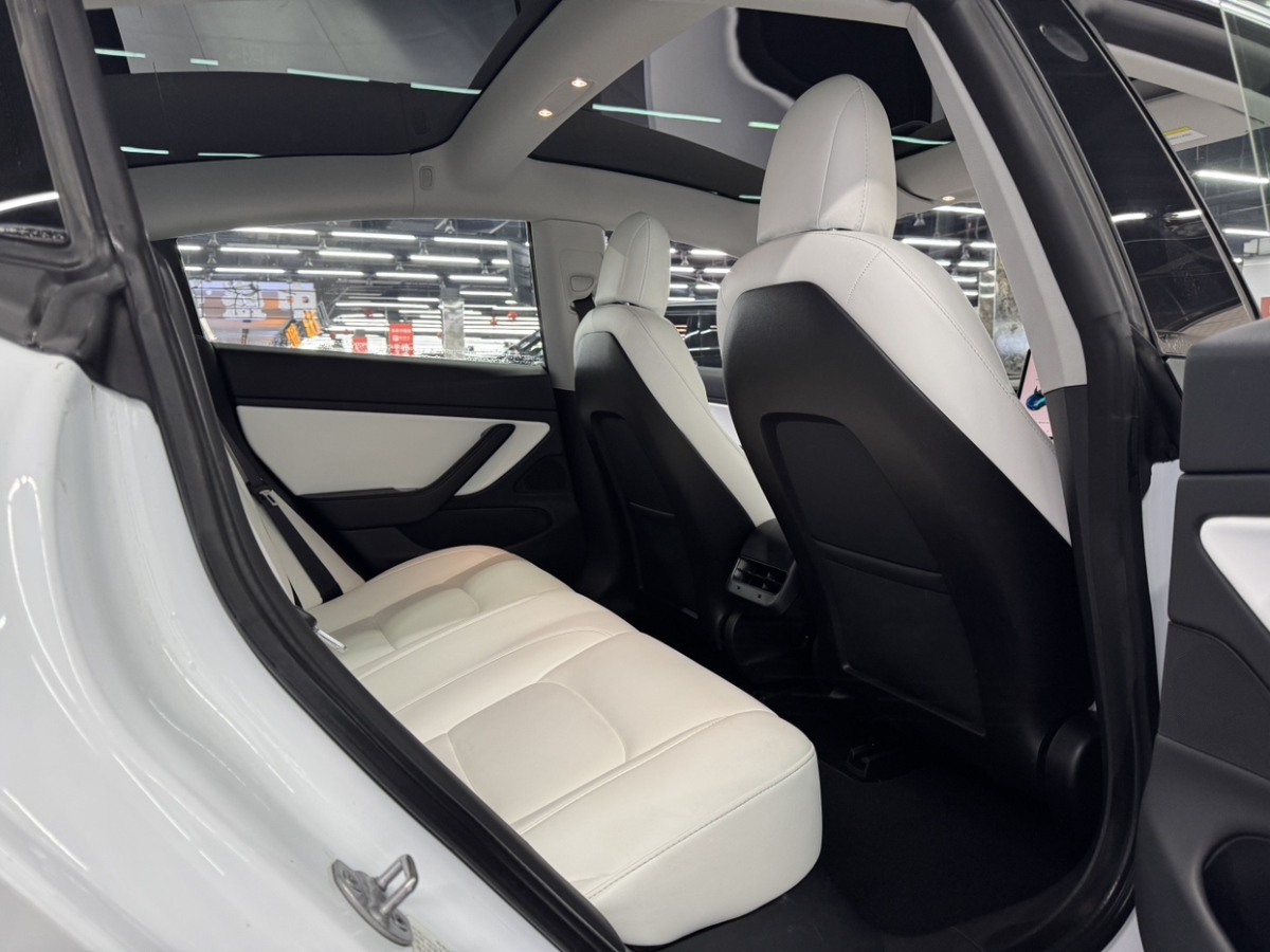 特斯拉 Model 3  2019款 長續(xù)航全輪驅(qū)動版圖片