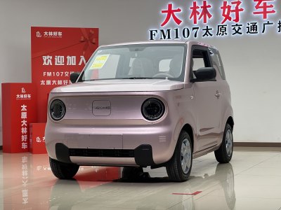 2024年8月 吉利 熊猫mini 200km 耐力熊图片