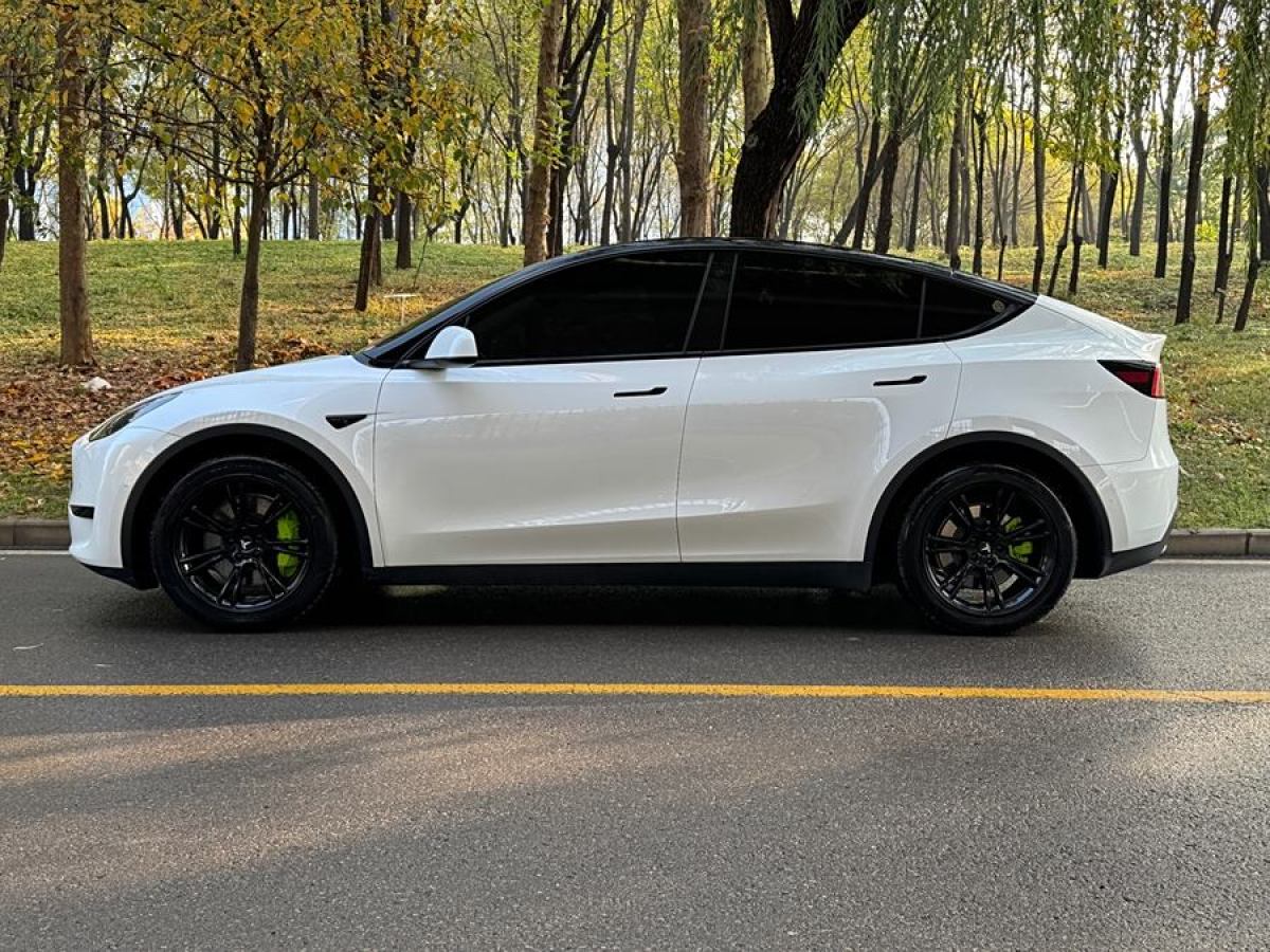 特斯拉 Model Y  2022款 后輪驅(qū)動版圖片