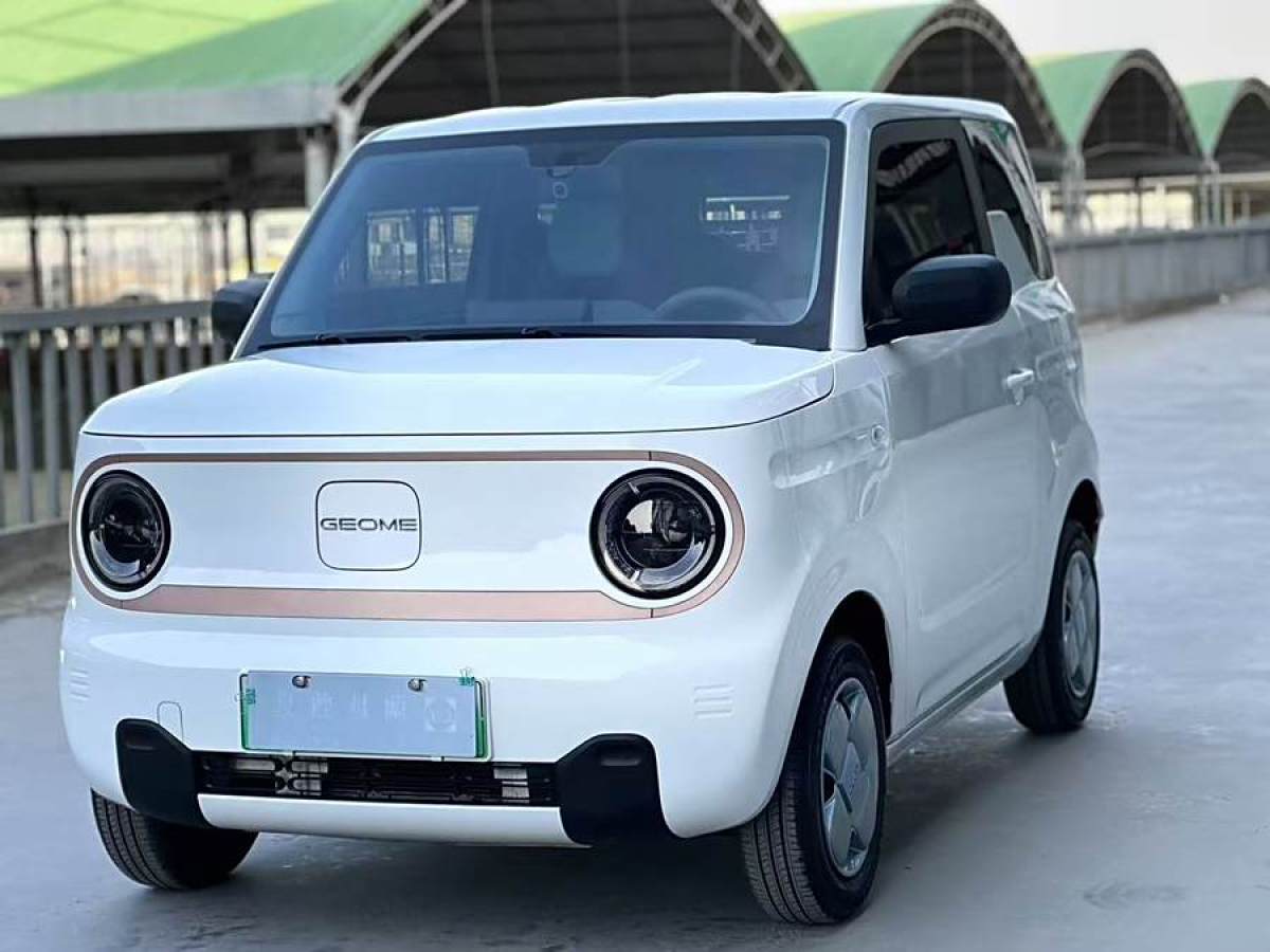 2024年1月吉利 熊貓mini  2023款 120km 超萌熊