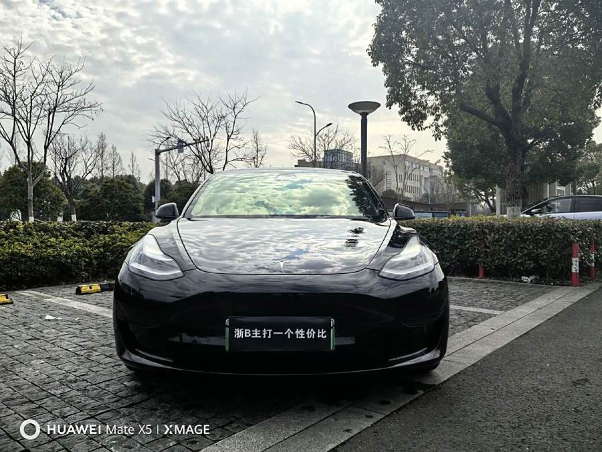 特斯拉 Model 3  2019款 標(biāo)準(zhǔn)續(xù)航后驅(qū)升級版圖片