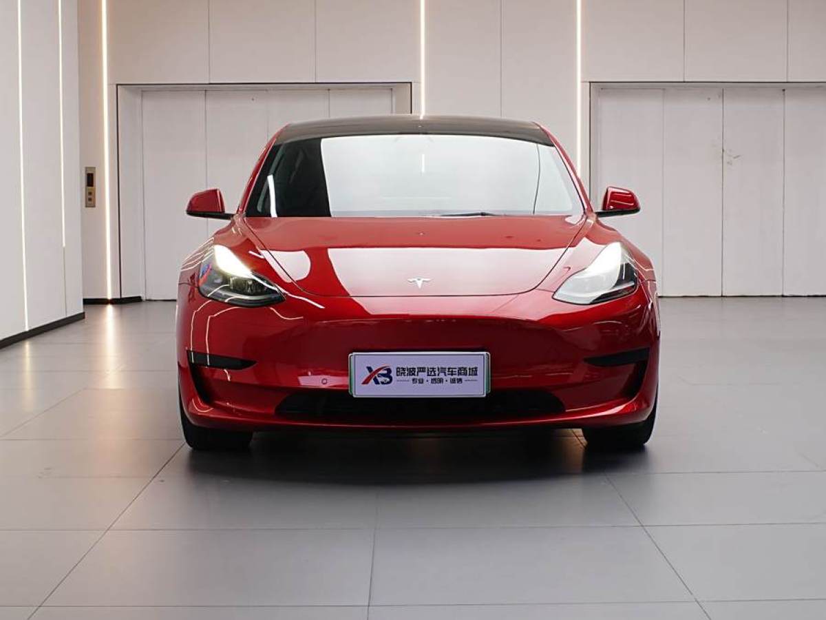 特斯拉 Model 3  2021款 改款 標(biāo)準(zhǔn)續(xù)航后驅(qū)升級(jí)版圖片