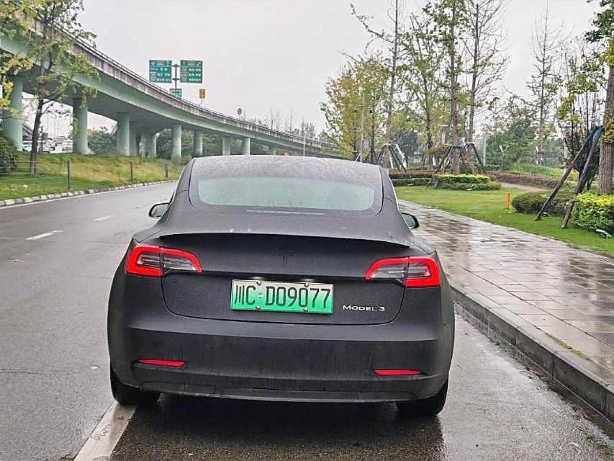 特斯拉 Model Y  2020款 改款 標(biāo)準(zhǔn)續(xù)航后驅(qū)升級(jí)版圖片