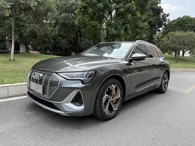 2021年6月 奧迪 奧迪e-tron 50 quattro 尊享型圖片