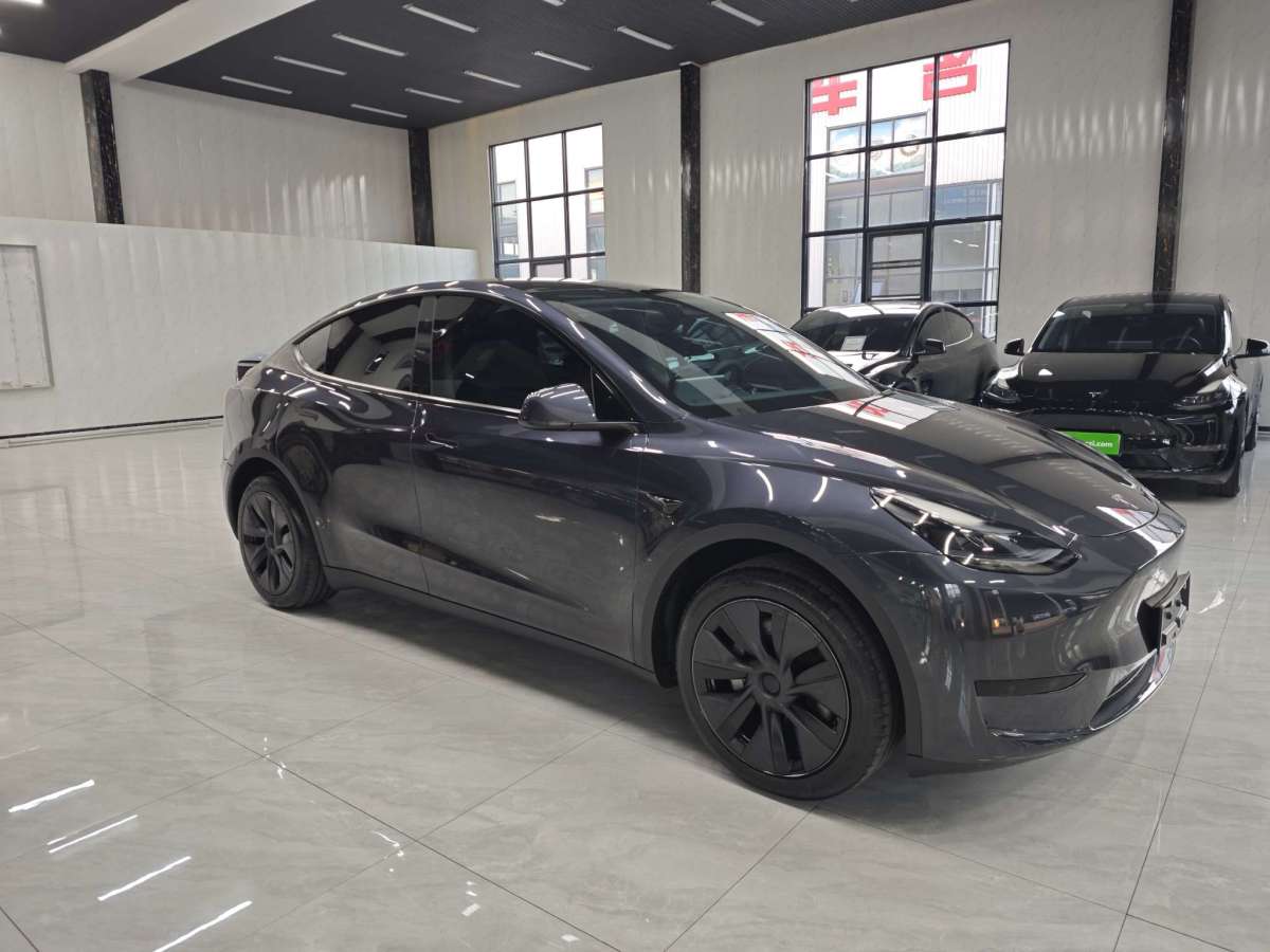 特斯拉 Model Y  2024款 后輪驅(qū)動版圖片