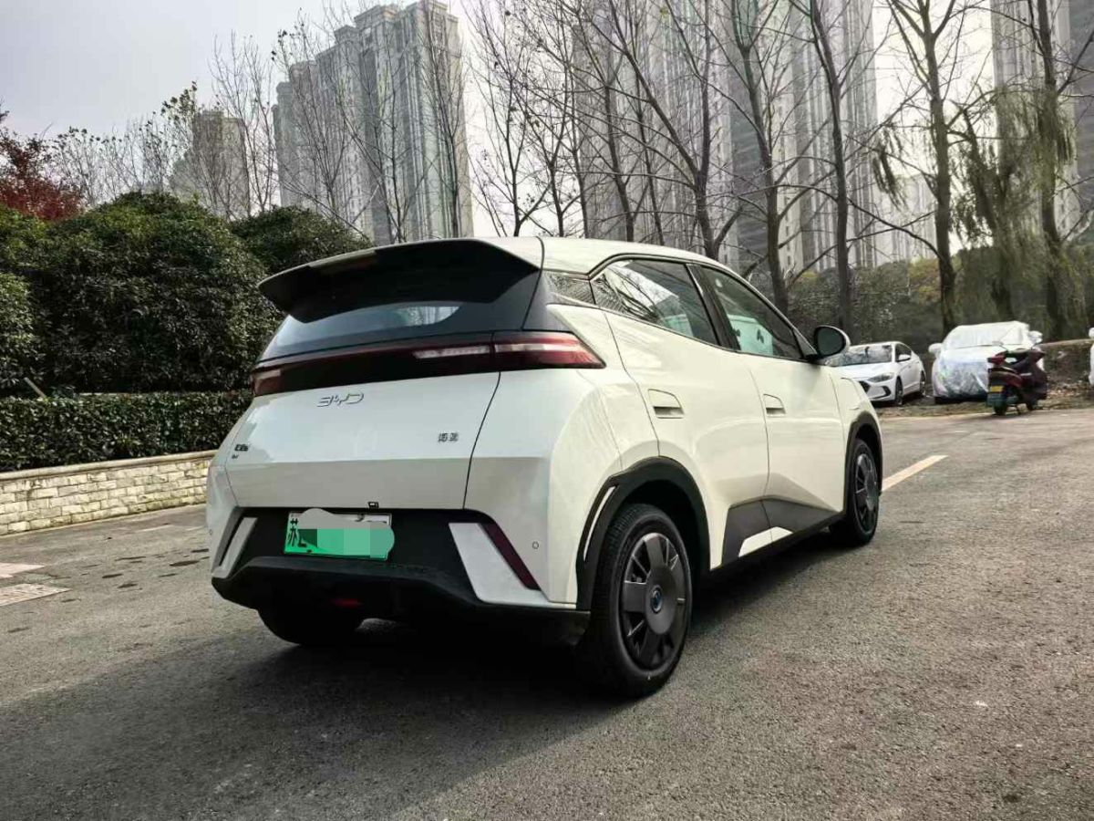 比亞迪 宋L DM-i  2024款 112km 超越型圖片