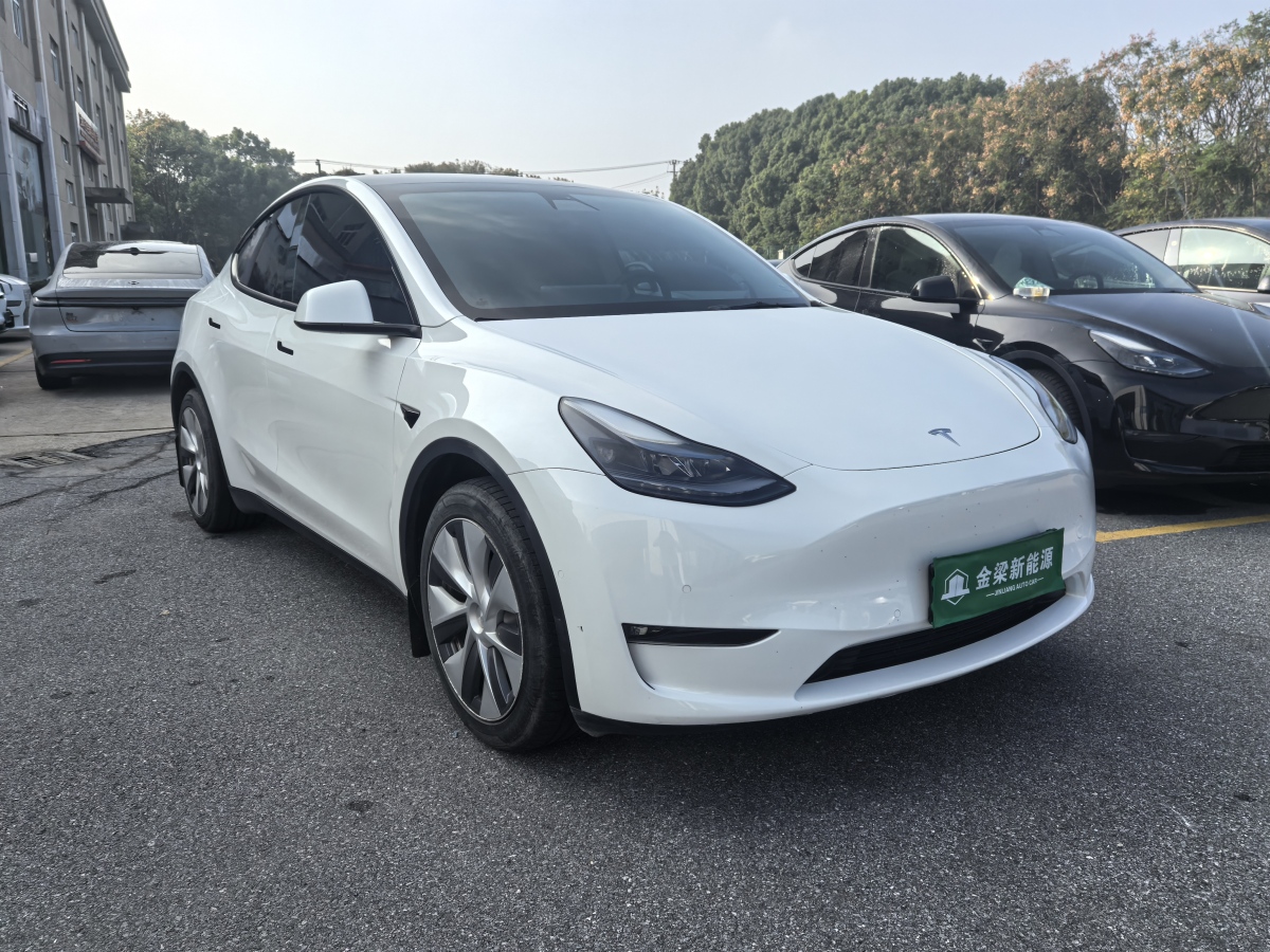 特斯拉 Model Y  2023款 長續(xù)航煥新版 雙電機(jī)全輪驅(qū)動(dòng)圖片