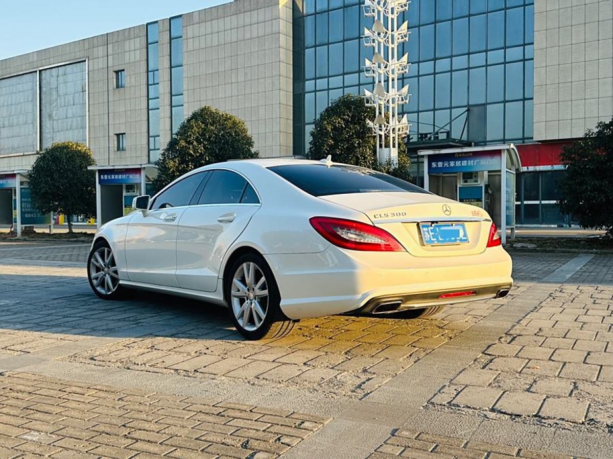 奔馳 奔馳CLS級(jí)  2012款 CLS 300 CGI圖片