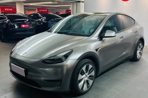 Model Y 特斯拉 改款 長續(xù)航全輪驅(qū)動版