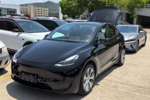 Model Y 特斯拉 Performance高性能全輪驅(qū)動版