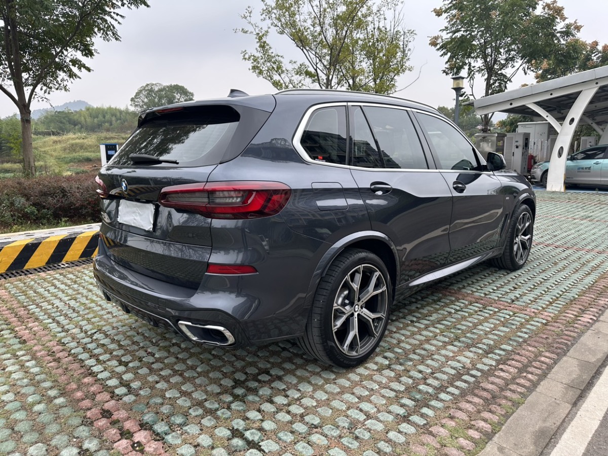 寶馬 寶馬X5  2020款 xDrive30i X設(shè)計(jì)套裝圖片