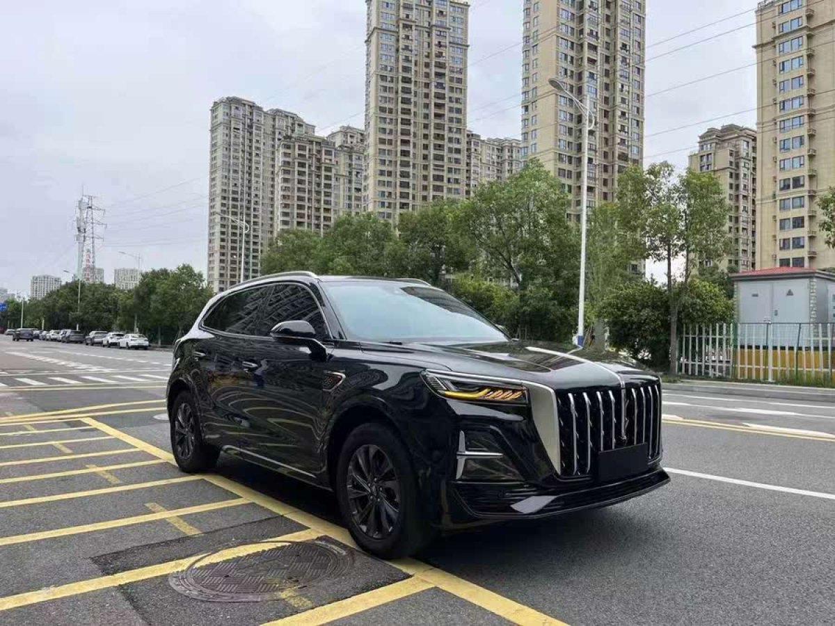 紅旗 紅旗HS5  2023款 2.0T 旗享Pro版圖片