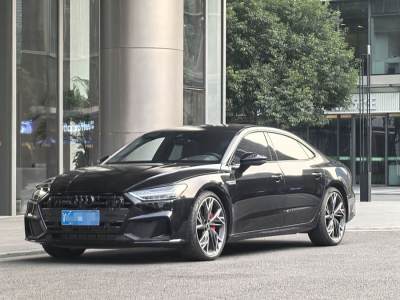 2024年4月 奧迪 奧迪A7L 55 TFSI quattro S-line 黑武士版圖片