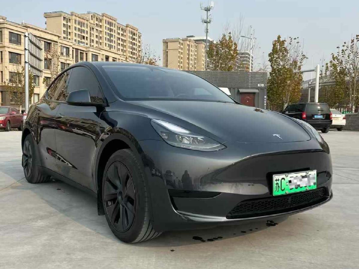 特斯拉 Model Y  2024款 Performance高性能版圖片