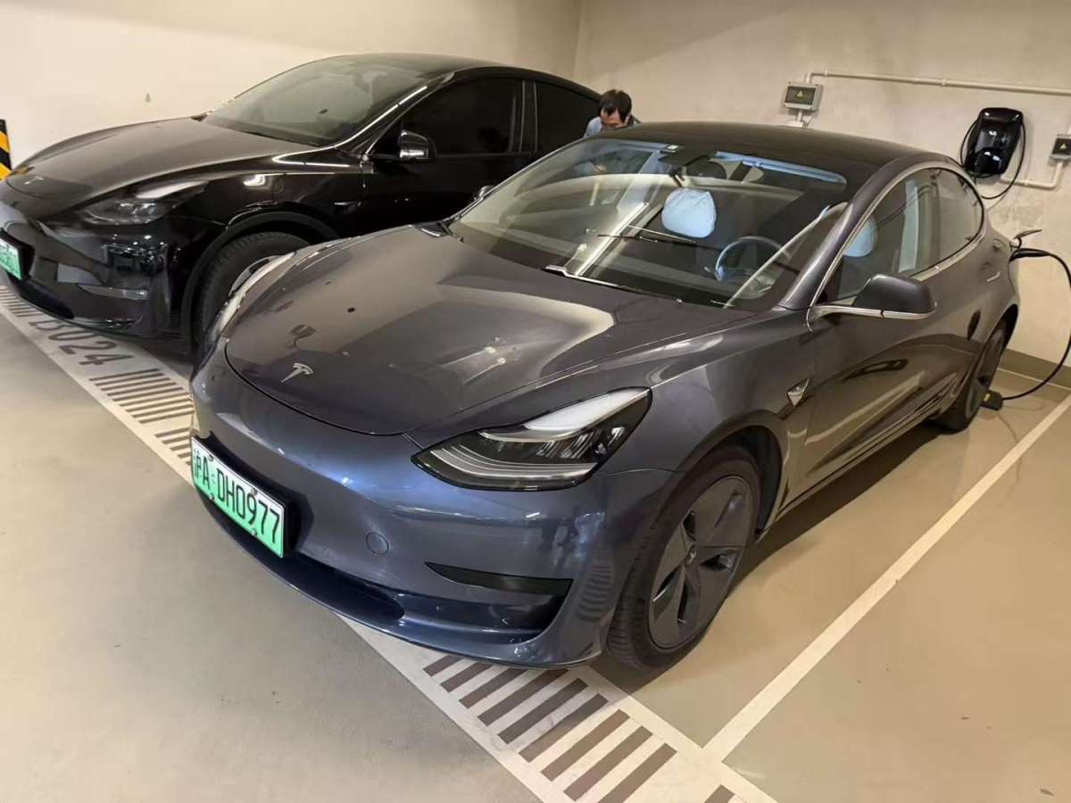 特斯拉 Model 3  2020款 改款 標(biāo)準(zhǔn)續(xù)航后驅(qū)升級(jí)版圖片