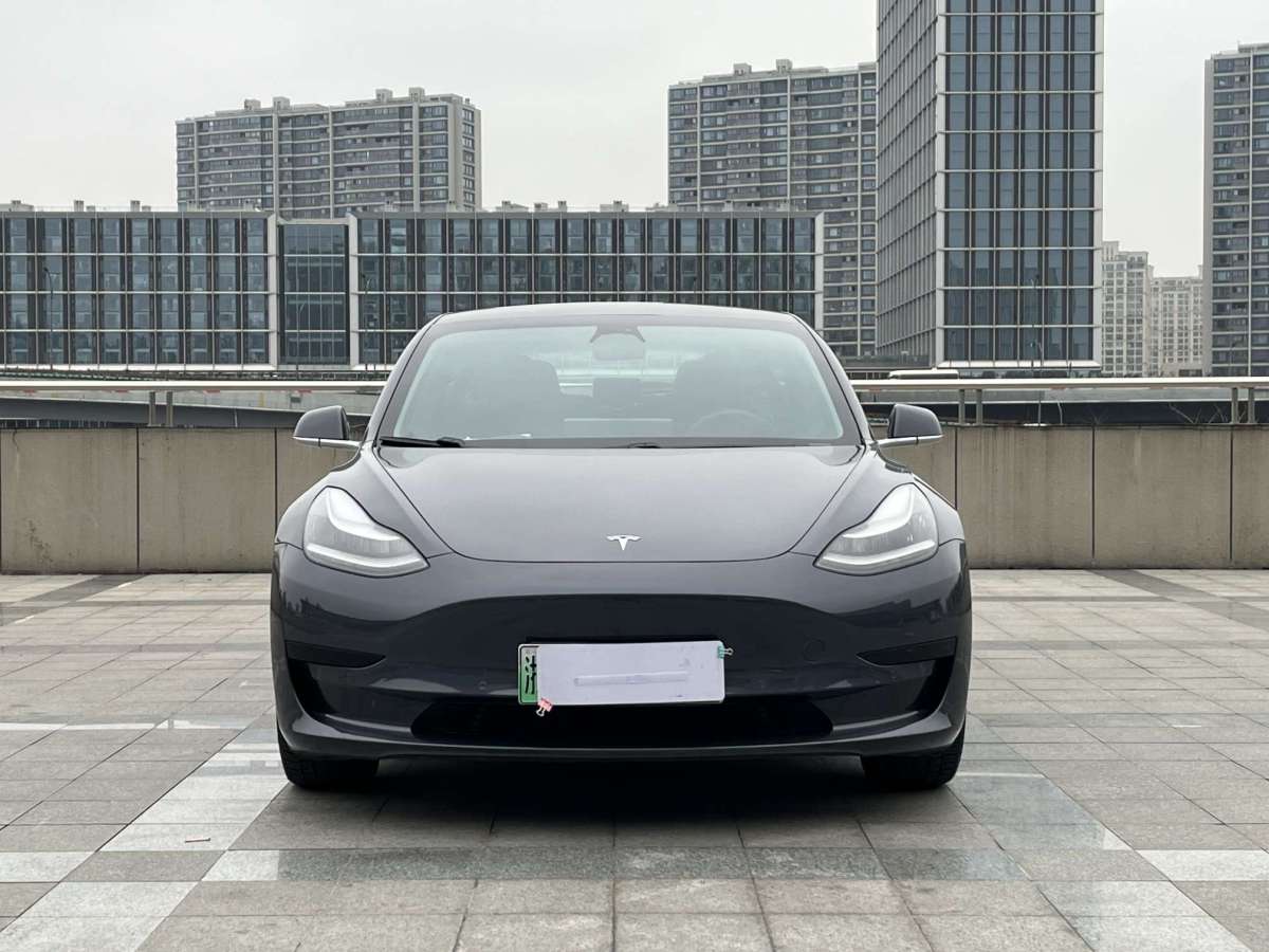 2020年1月特斯拉 Model 3  2019款 標(biāo)準(zhǔn)續(xù)航后驅(qū)升級(jí)版