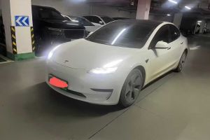 Model Y 特斯拉 Performance高性能全輪驅(qū)動版
