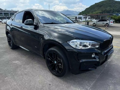 2019年1月 宝马 宝马X6(进口) xDrive28i M运动套装图片