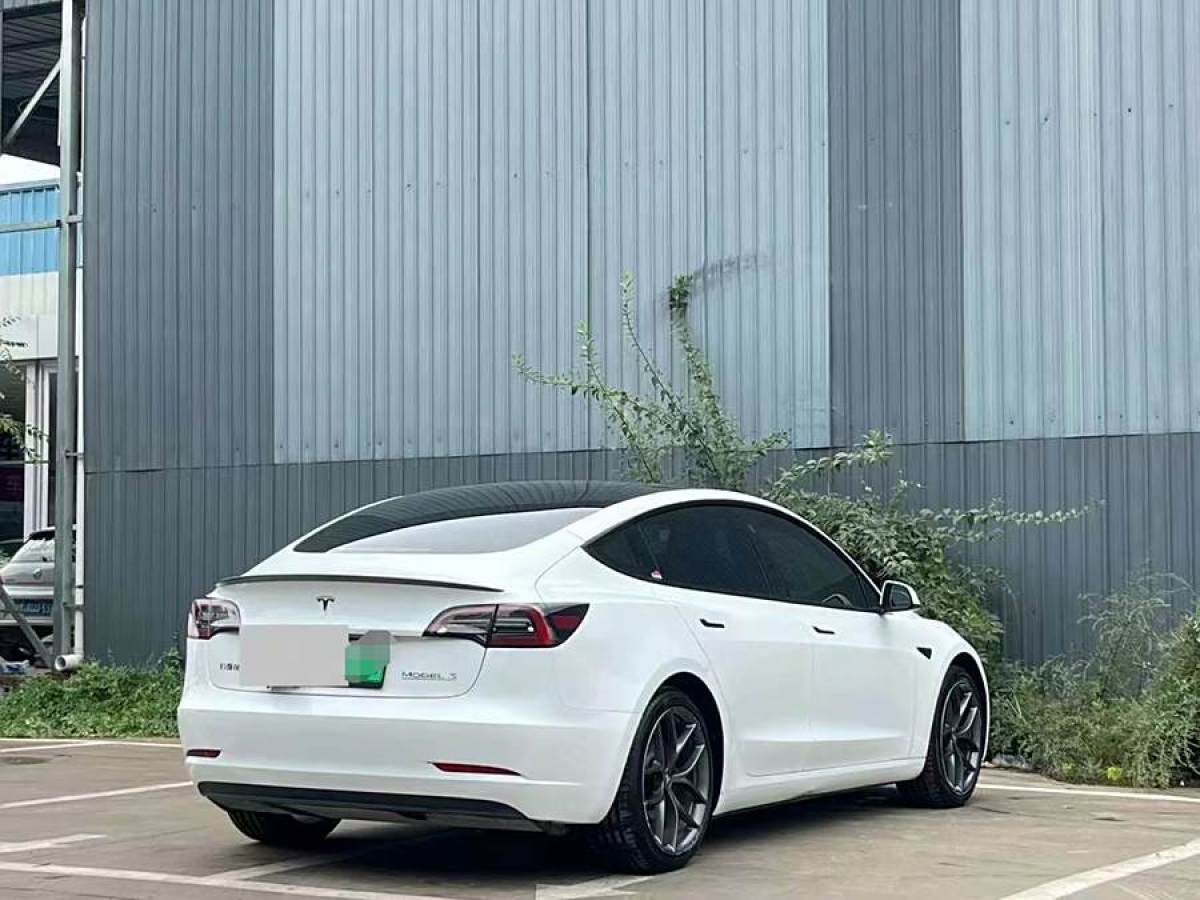 特斯拉 Model 3  2020款 改款 標(biāo)準(zhǔn)續(xù)航后驅(qū)升級版圖片