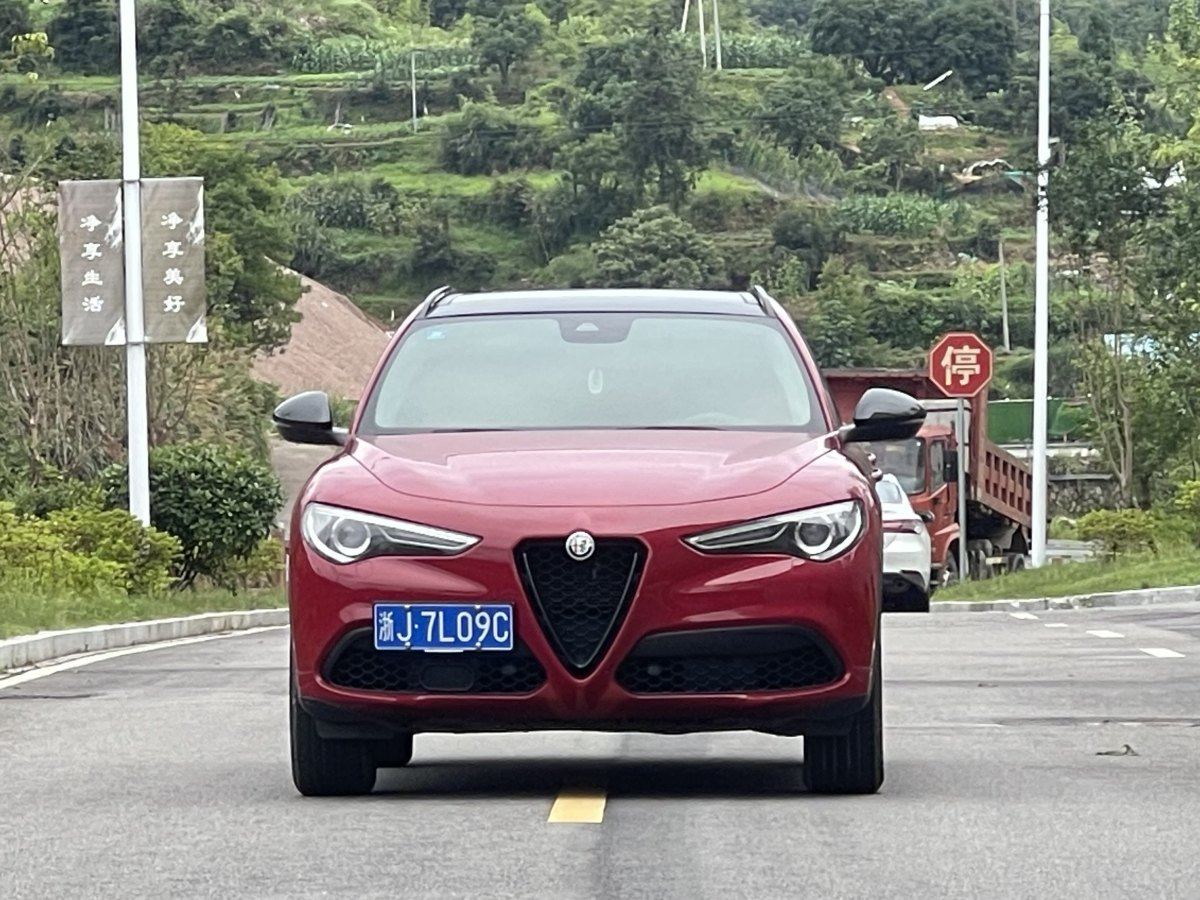 阿爾法·羅密歐 Stelvio  2020款 2.0T 280HP 豪華版圖片