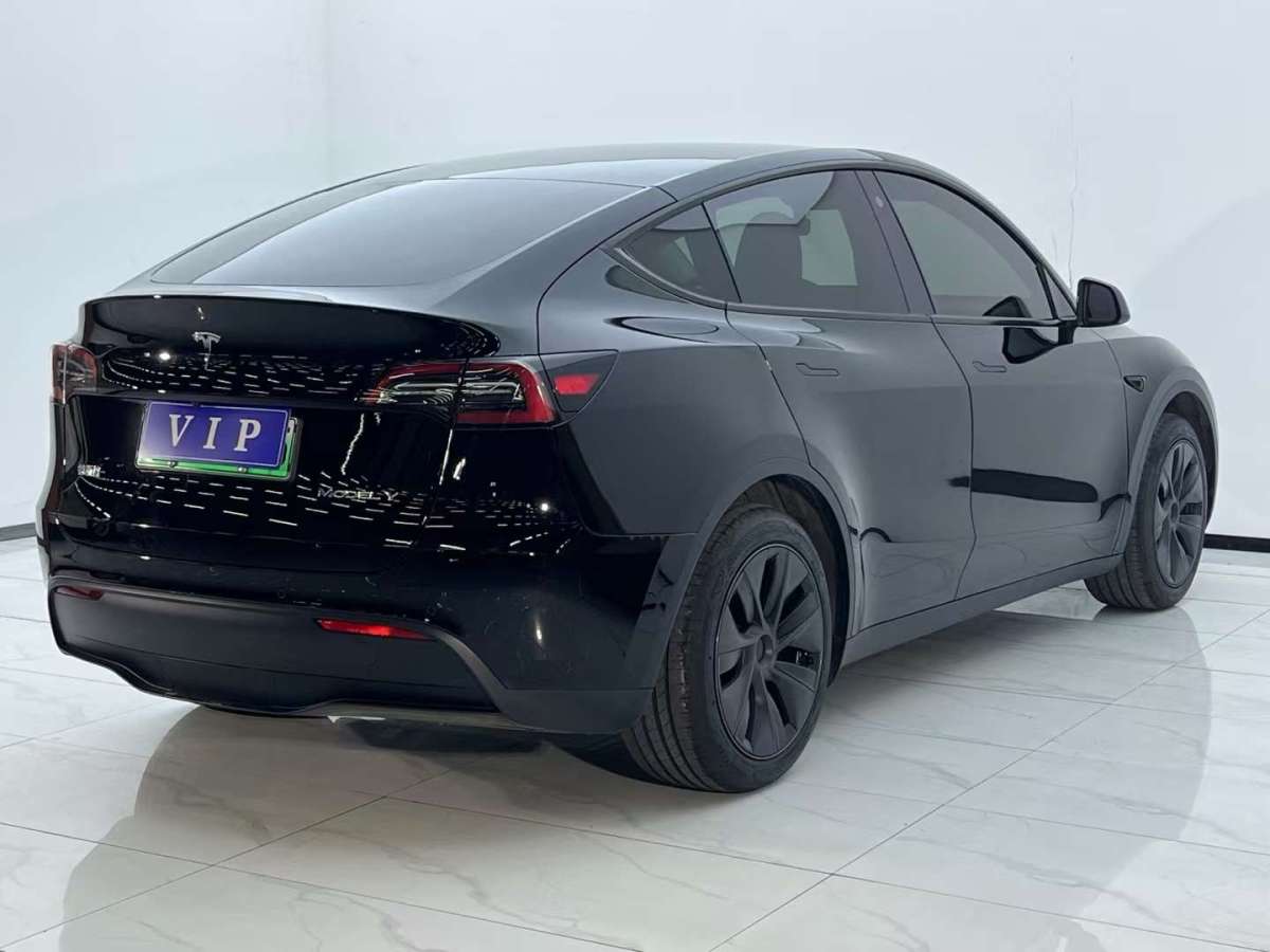 特斯拉 Model Y  2023款 后輪驅(qū)動(dòng)版圖片